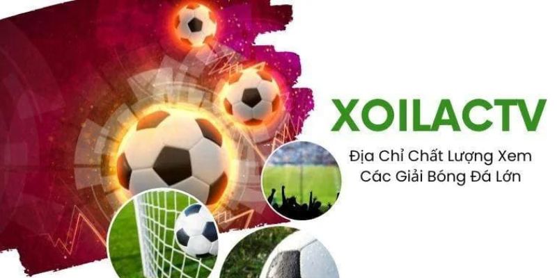 Địa chỉ đáng tin cậy dành cho người đam mê môn thể thao vua