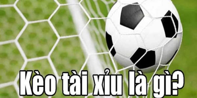 Kèo Tài Xỉu Là Gì Trong Bóng Đá? Cách Đọc Kèo Và Kinh Nghiệm Bắt Chuẩn