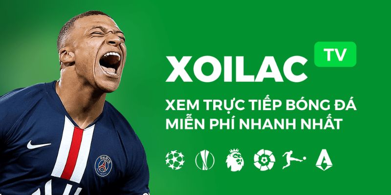 Trang web nhận về sự quan tâm của đông đảo người hâm mmộ
